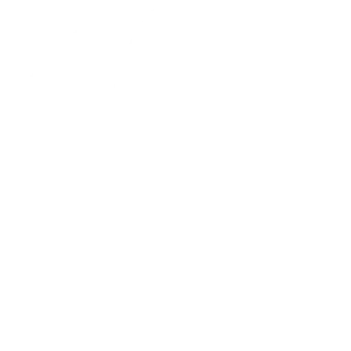 Globe Icon